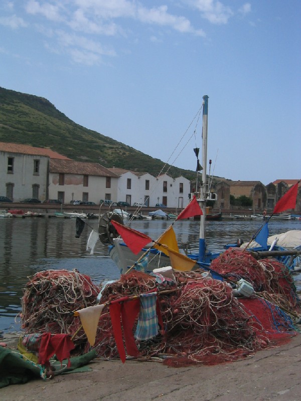 Bosa